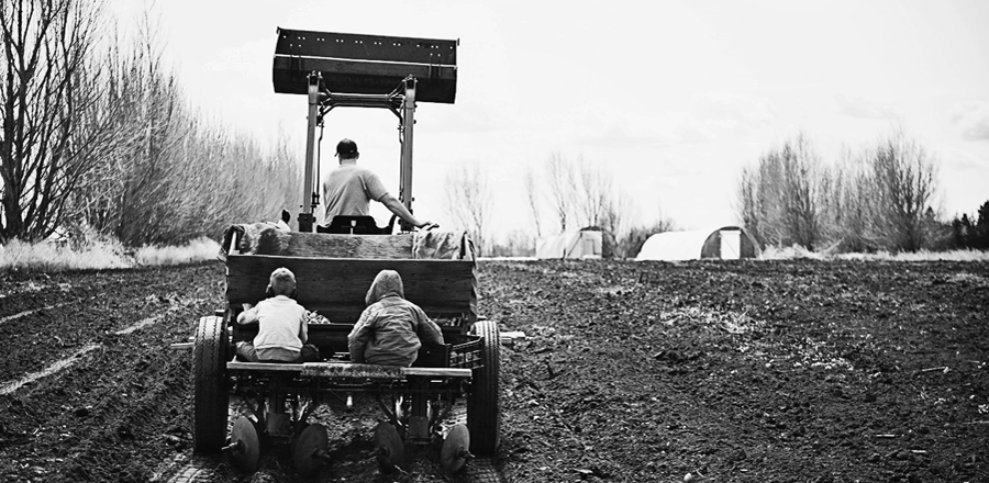 Two young boys are helping their father plant potatoes with a tractor at Grey Arrow Farm in Camrose, Alberta.