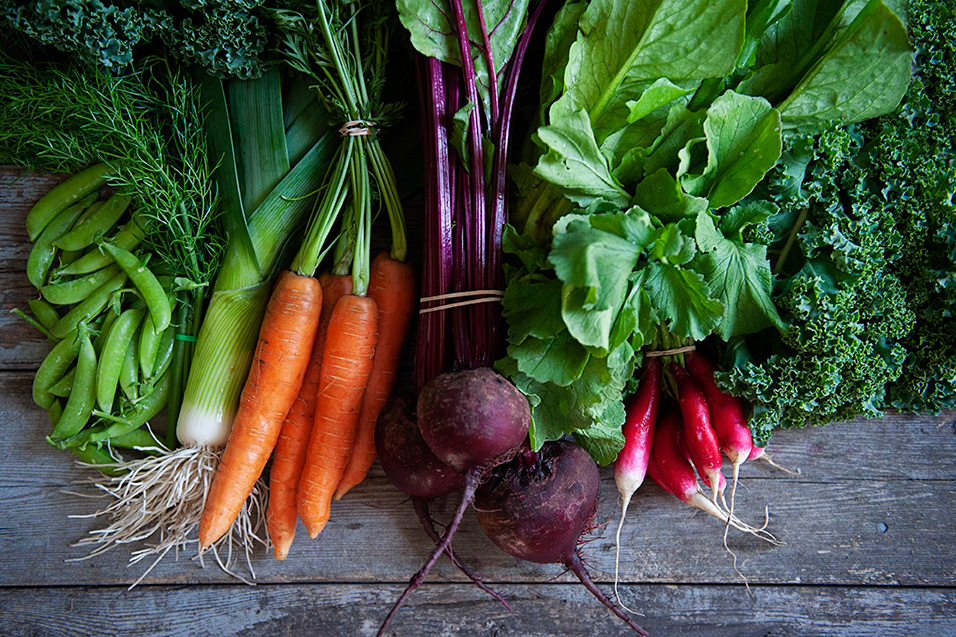 A pile of organic vegetables for a CSA subscription at Grey Arrow Farm.